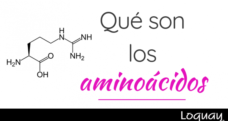 que son los aminoacidos