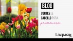 Cortes de cabello para primavera 