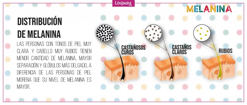 ¿QuéEsLaMelanina?-01