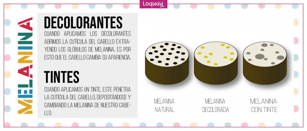 ¿QuéEsLaMelanina?-02