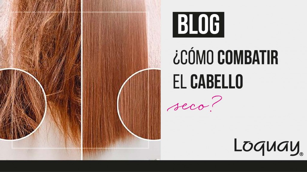 cabello seco-02