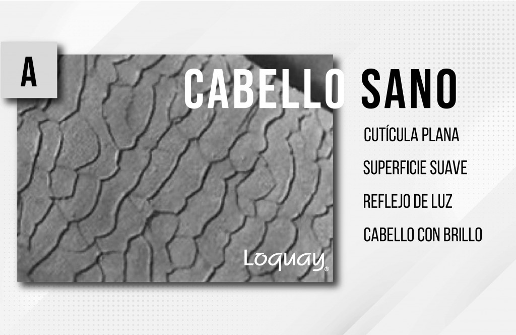 no al cabello maltratado-01