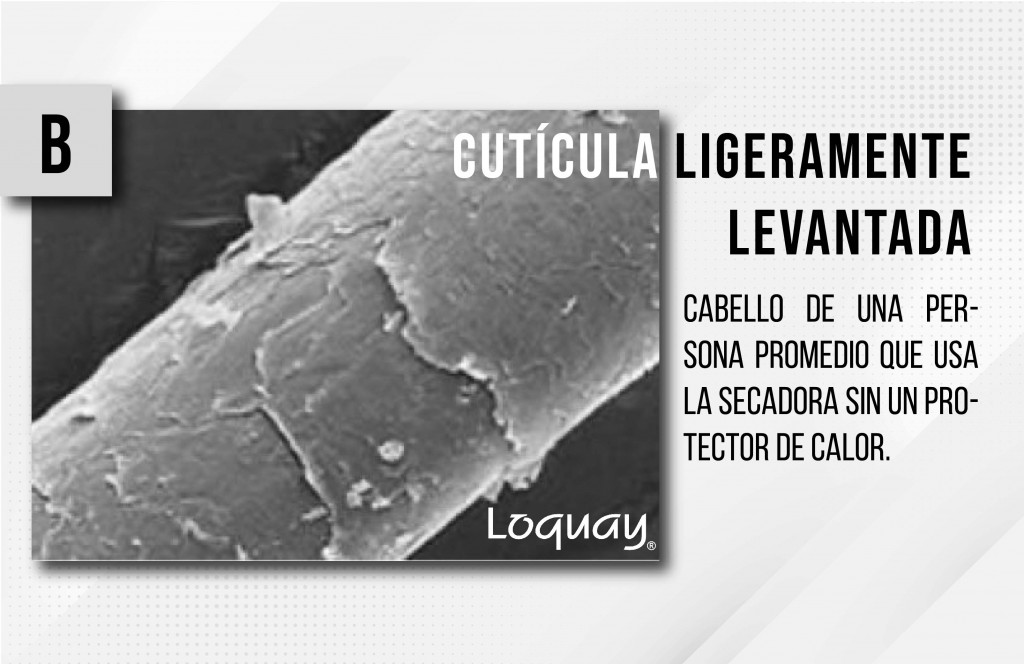 no al cabello maltratado-02