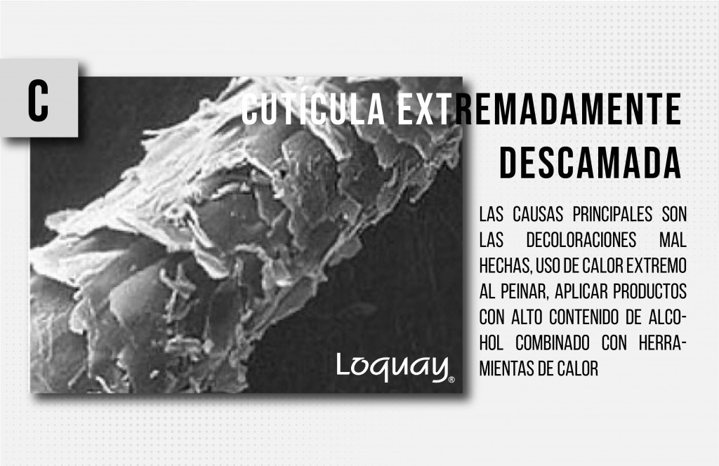 no al cabello maltratado-03