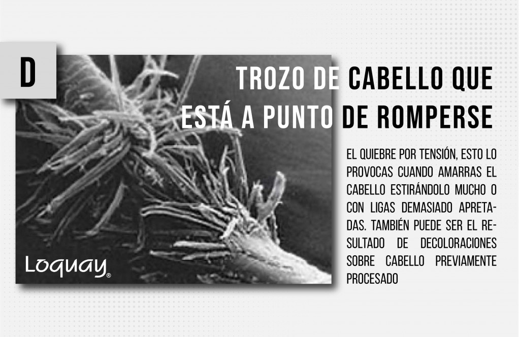 no al cabello maltratado-04