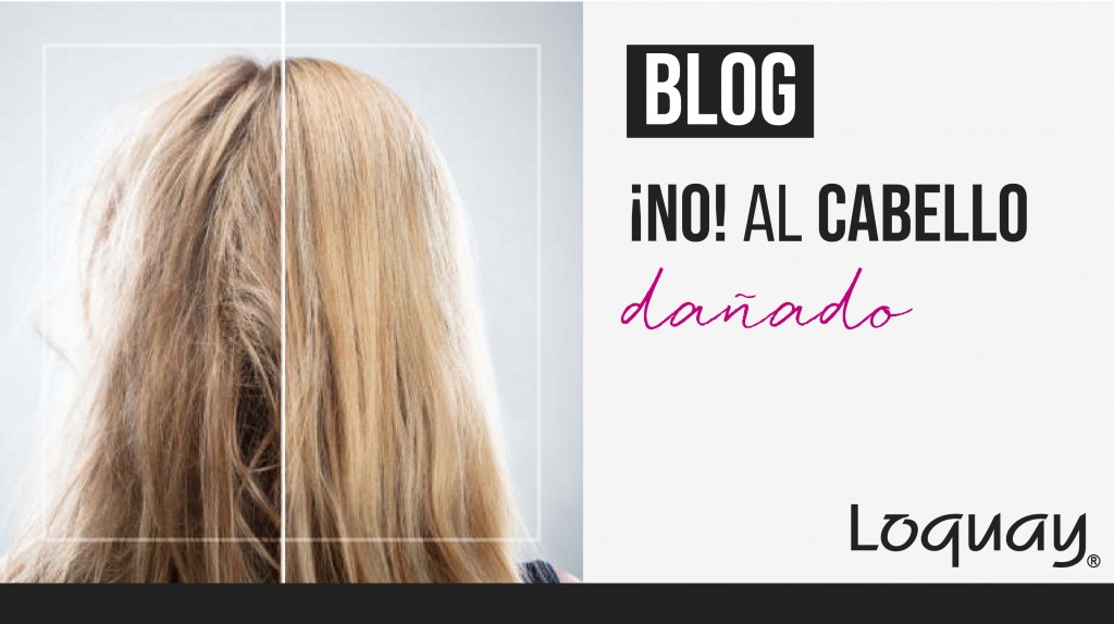 no al cabello maltratado-06