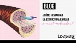 ¿Cómo Restaurar la Estructura Capilar a nivel Molecular?