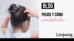 Piojos y cómo combatirlos